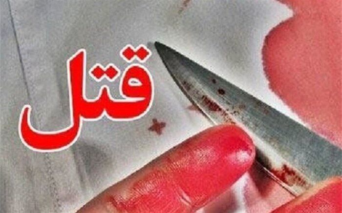 قتل در هرات، دستگیری در تهران