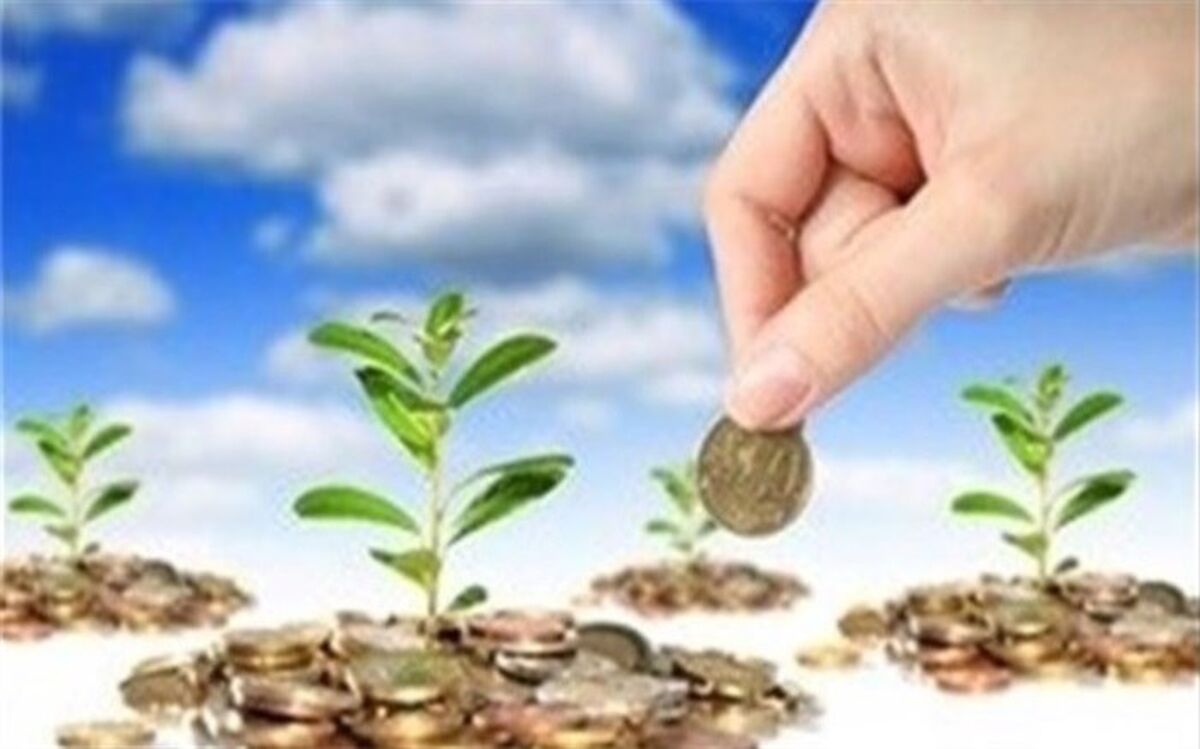 صندوق حمایت توسعه بخش کشاورزی بافق آغاز به کار کرد