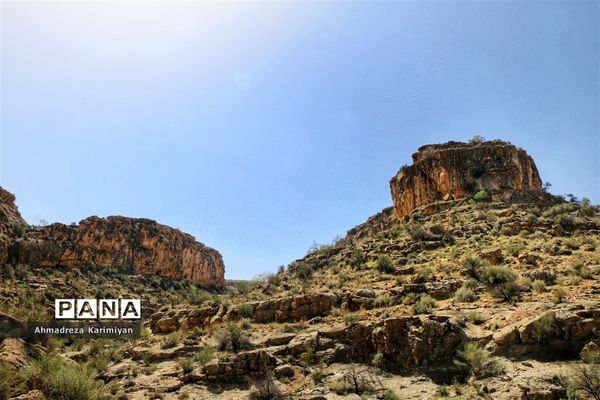 رویش از دل سنگ