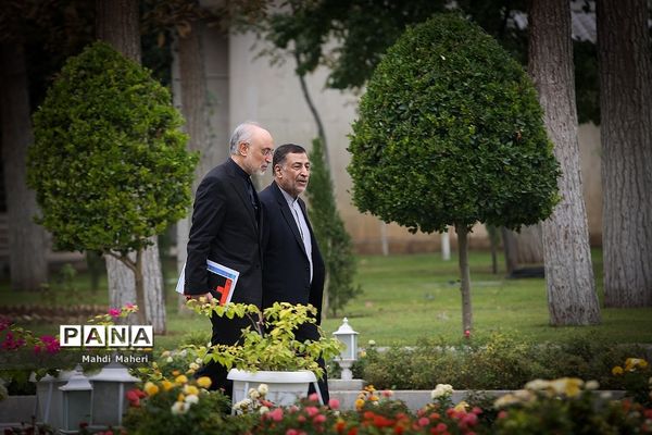 حاشیه جلسه هیات دولت