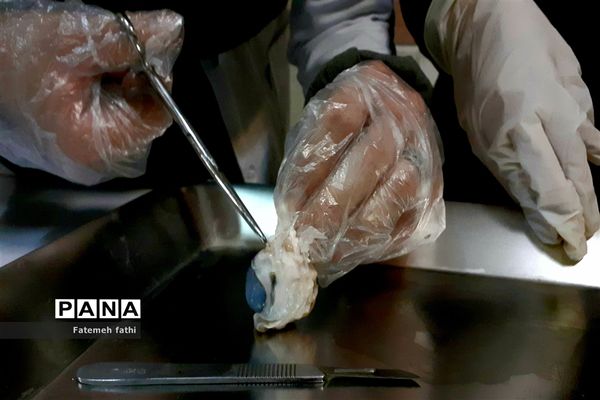 مراسم گرامیداشت روز علوم آزمایشگاهی در چهاردانگه