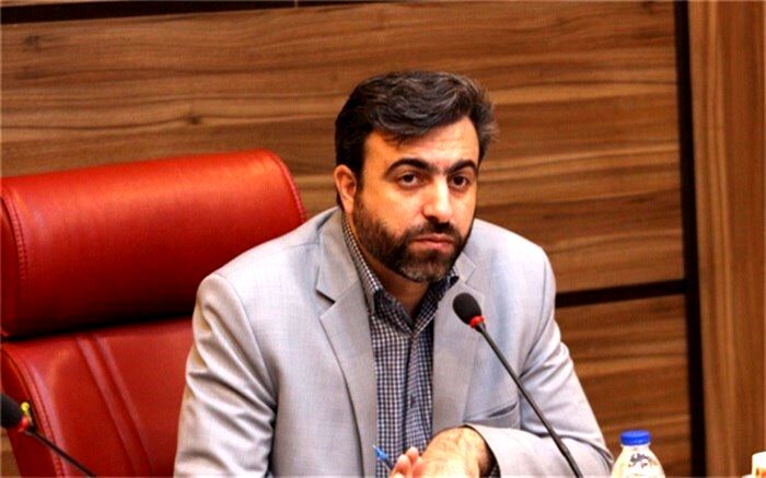 سید مجتبی هاشمی: تشکل‌های دانش‌آموزی در تربیت اجتماعی نسل جدید انقلاب نقشی موثر  دارند