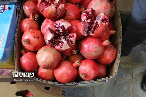 اولین جشنواره انار در روستای خورهه شهرستان محلات