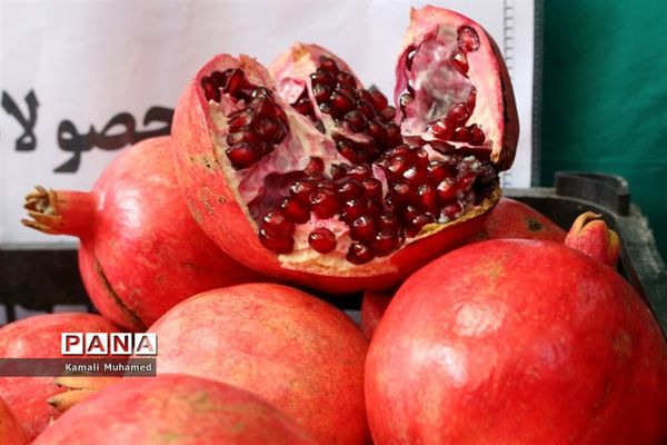 اولین جشنواره انار در روستای خورهه شهرستان محلات