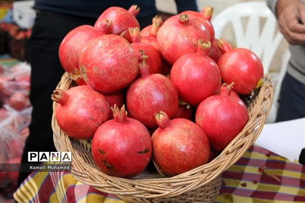 اولین جشنواره انار در روستای خورهه شهرستان محلات