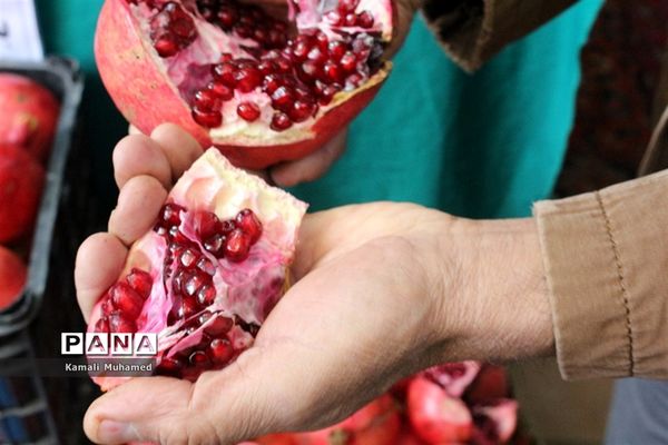 اولین جشنواره انار در روستای خورهه شهرستان محلات