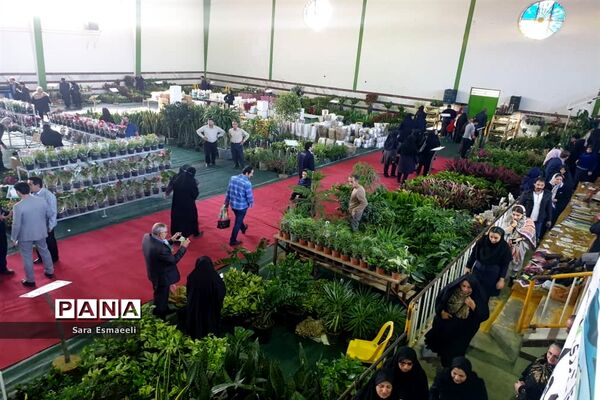 چهارمین نمایشگاه گل و گیاه زینتی محمودآباد