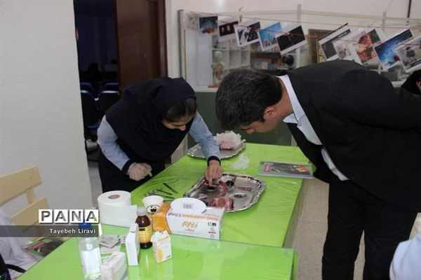 روز آزمایشگاه