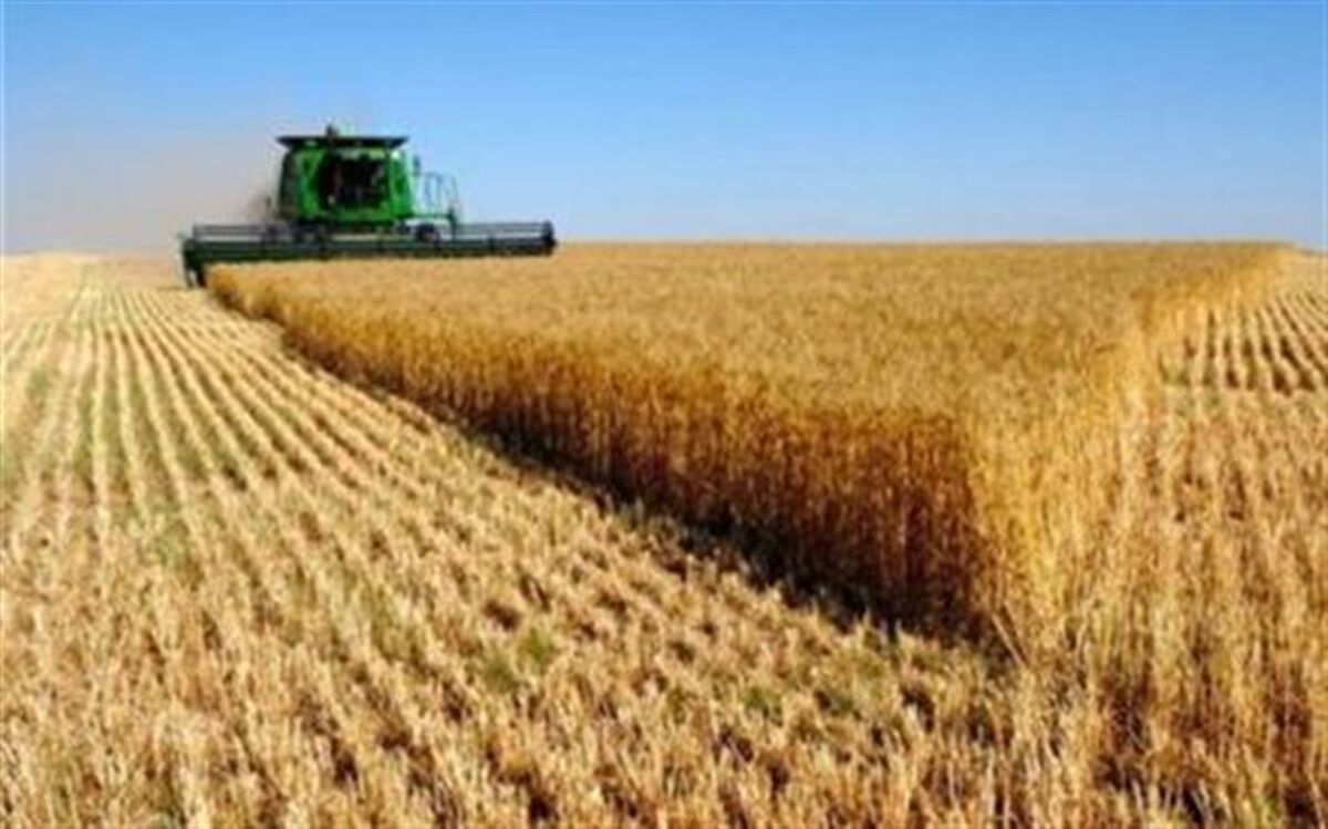 ۱۲ میلیارد دلار برای بخش آب و خاک کشاورزی کشور هزینه شد