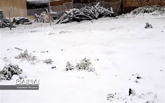 پیش‌بینی بارش برف در مناطق زلزله زده