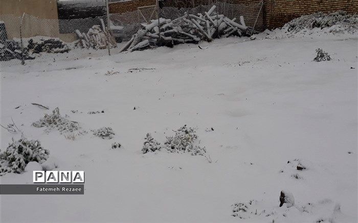 پیش‌بینی بارش برف در مناطق زلزله زده