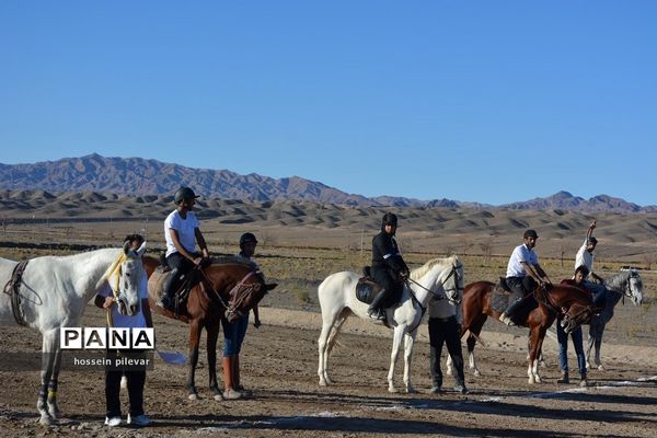برگزاری مسابقات اسب سواری در شهرستان بیرجند