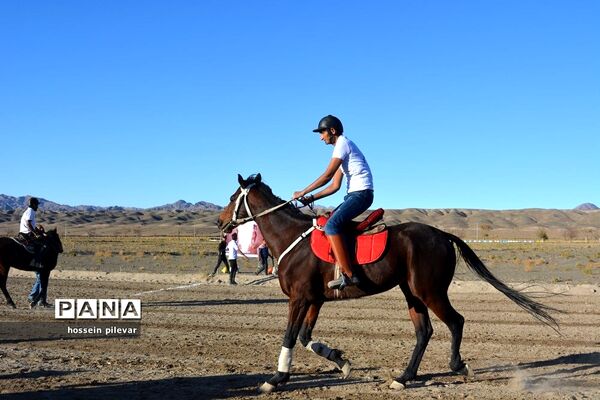 برگزاری مسابقات اسب سواری در شهرستان بیرجند