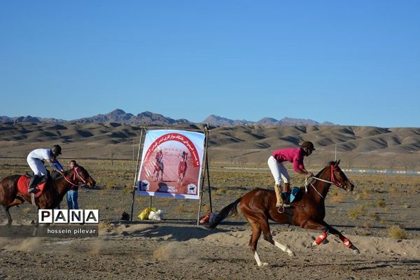 برگزاری مسابقات اسب سواری در شهرستان بیرجند
