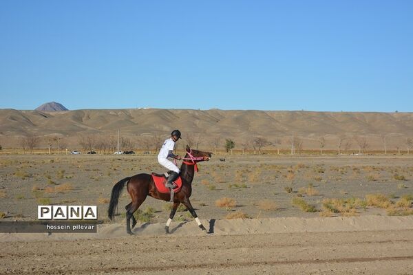 برگزاری مسابقات اسب سواری در شهرستان بیرجند