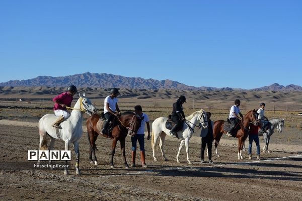 برگزاری مسابقات اسب سواری در شهرستان بیرجند