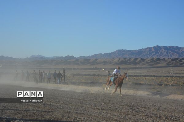 برگزاری مسابقات اسب سواری در شهرستان بیرجند