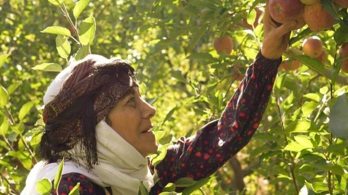 «مینی‌بوس»؛ روایتی از تجدید دیدار با خاطرات در سریال «مادران»