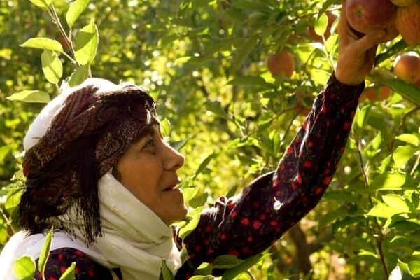 «مینی‌بوس»؛ روایتی از تجدید دیدار با خاطرات در سریال «مادران»