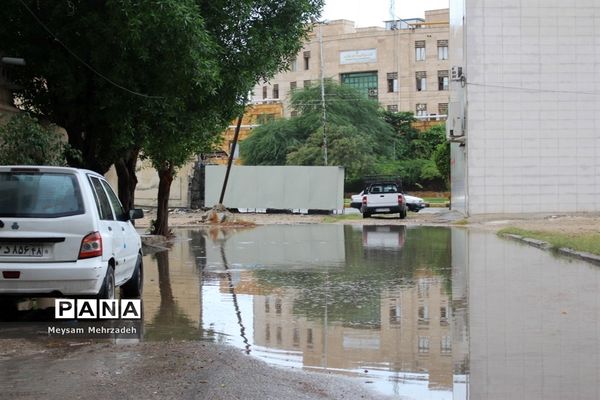 بارندگی  در بوشهر