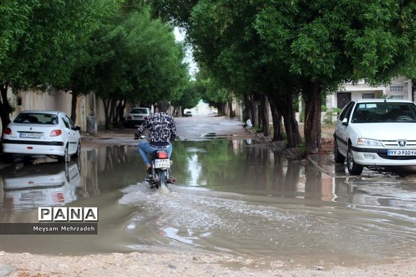 بارندگی  در بوشهر