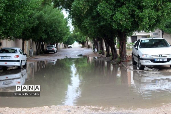 بارندگی  در بوشهر