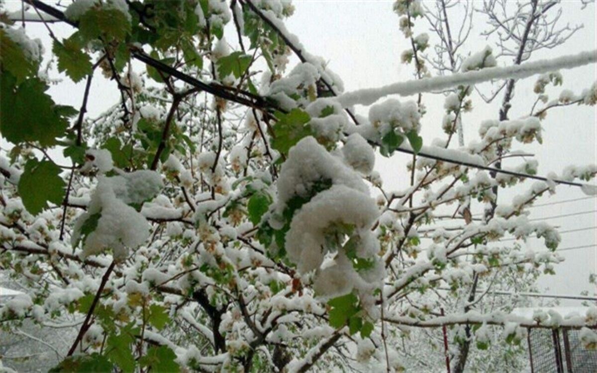 آماده‌باش ۶۰۰ نیرو شهرداری کرج