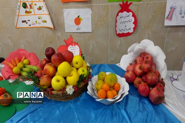 افتتاحیه طرح سفیران سلامت درمدارس داراب