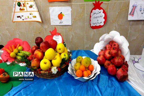افتتاحیه طرح سفیران سلامت درمدارس داراب