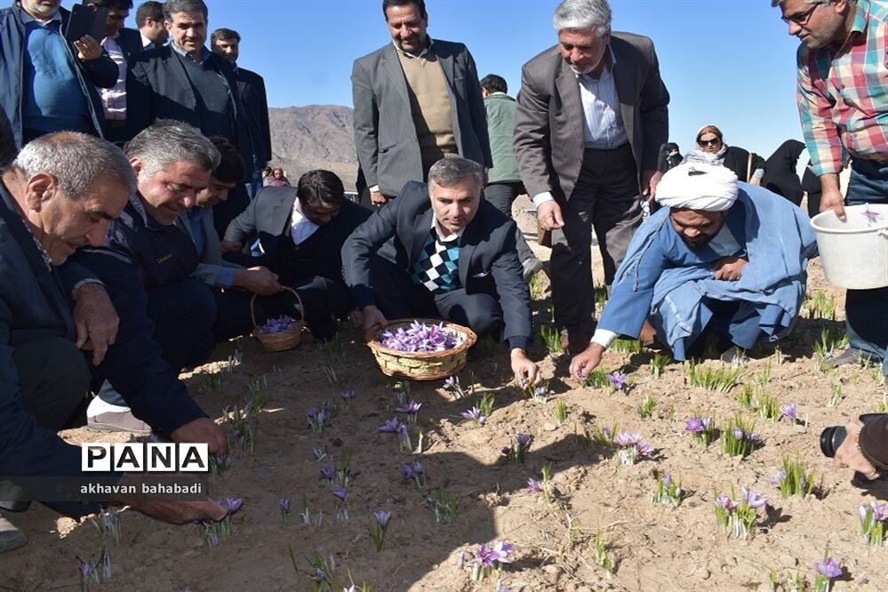 آئین اختتامیه جشنواره زعفران استان یزد در روستای « بنستان » شهرستان بهاباد