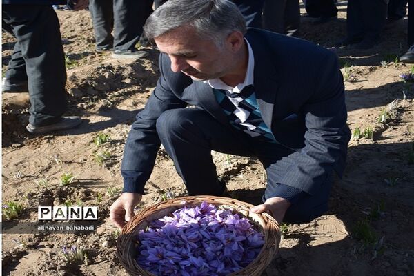 آئین اختتامیه جشنواره زعفران استان یزد در روستای « بنستان » شهرستان بهاباد