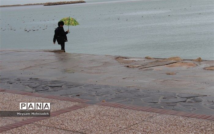 مازندران بارانی می‌شود