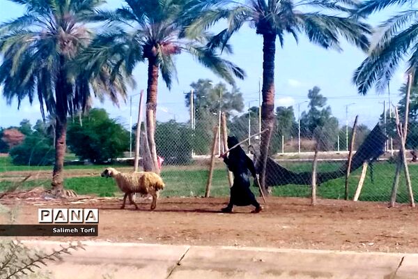حال وهوای زندگی روستاییان شهرستان حمیدیه درفصل پاییز