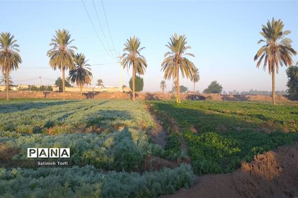 حال وهوای زندگی روستاییان شهرستان حمیدیه درفصل پاییز