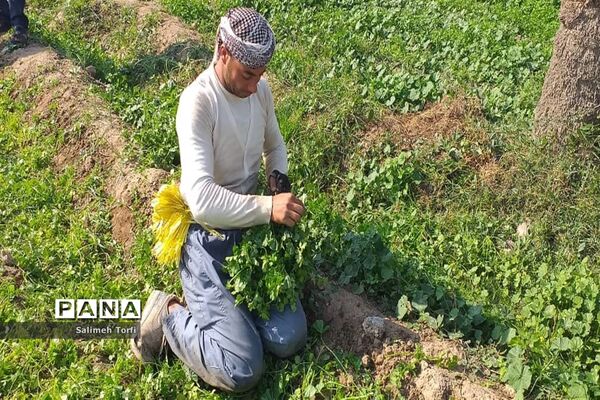حال وهوای زندگی روستاییان شهرستان حمیدیه درفصل پاییز