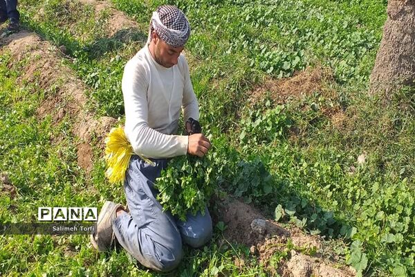 حال وهوای زندگی روستاییان شهرستان حمیدیه درفصل پاییز
