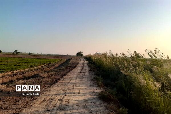 حال وهوای زندگی روستاییان شهرستان حمیدیه درفصل پاییز