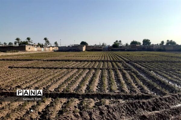 حال وهوای زندگی روستاییان شهرستان حمیدیه درفصل پاییز