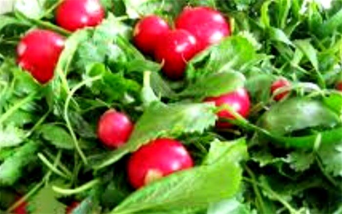 افزایش قیمت سبزی خوردن دریزد