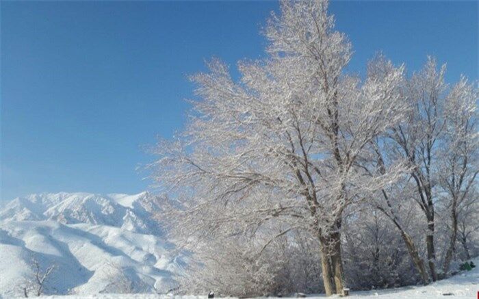 طبیعت زیبای برفی شهمیرزاد+ویدئو