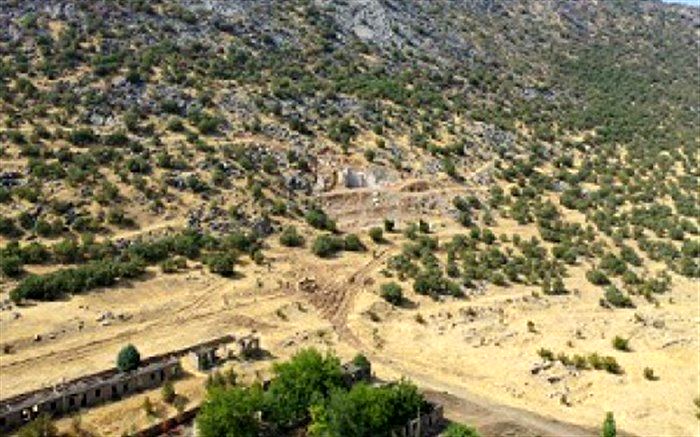 بسیج نیرو‌ها برای ۲۳۳ هکتار جنگل کاری مشارکتی