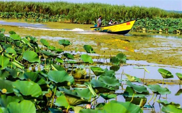 تحویل تالاب خوارهای گیلان به مقامات قضایی