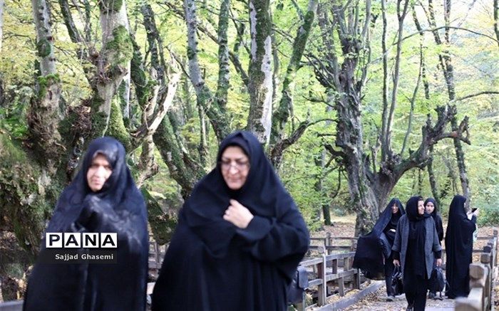 پاییز هزار رنگ استان گلستان میزبان برگزیدگان جشنواره گلدسته سرو