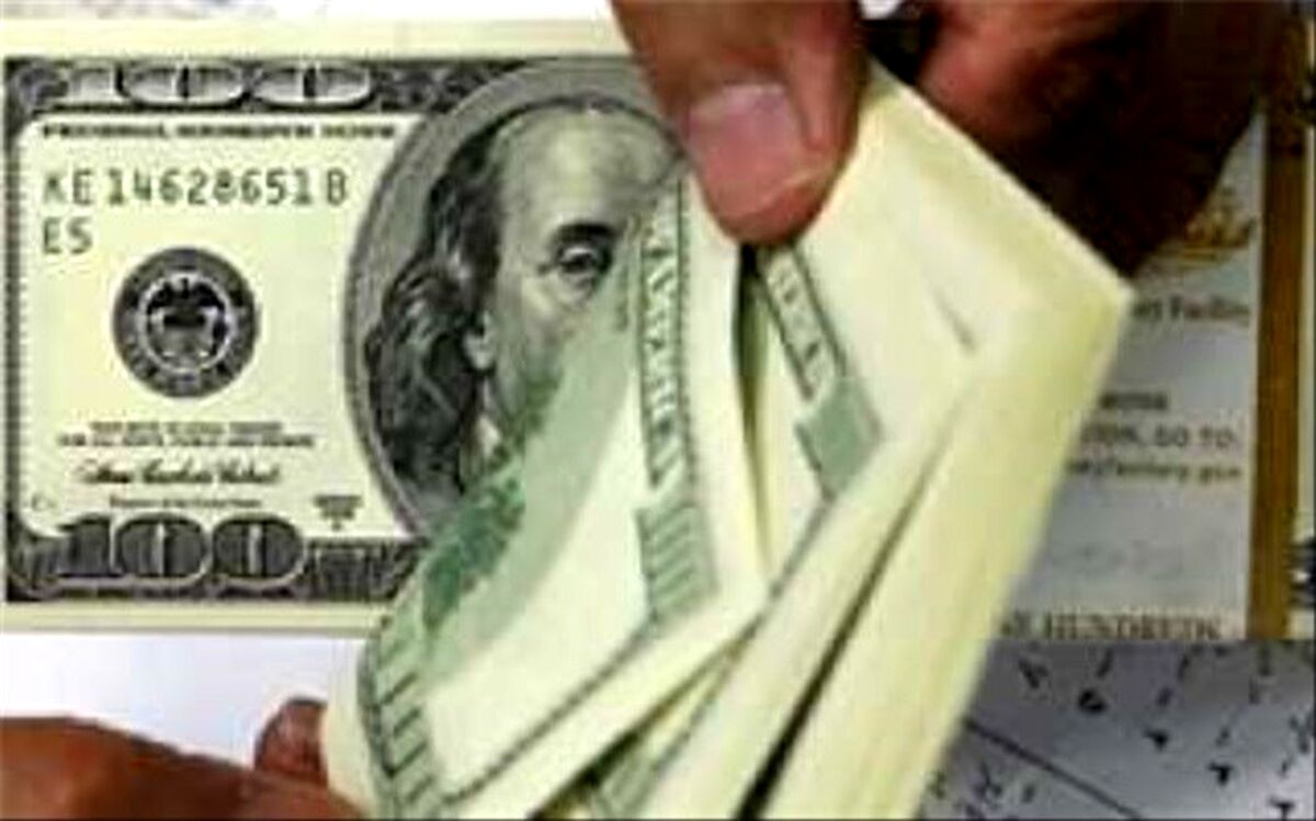 عضو کمیسیون برنامه:  تقاضا در بازار ارز واقعی شده است