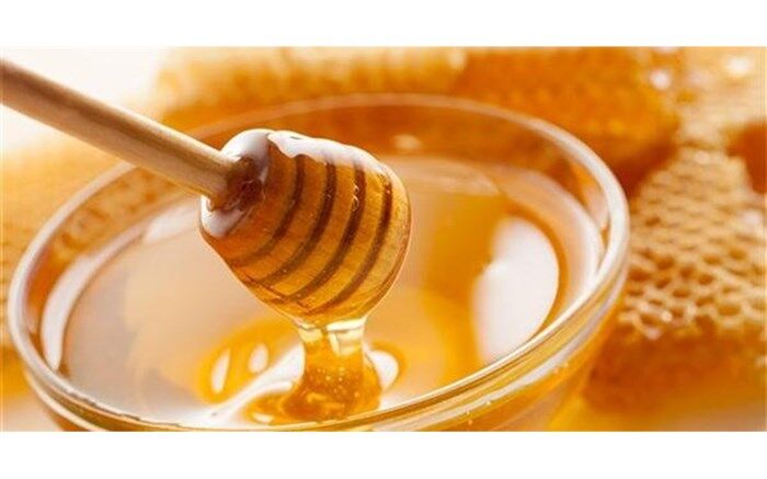 آذربایجان غربی با تولید بیش از 21 هزار تن عسل رکوردار تولید در کشور