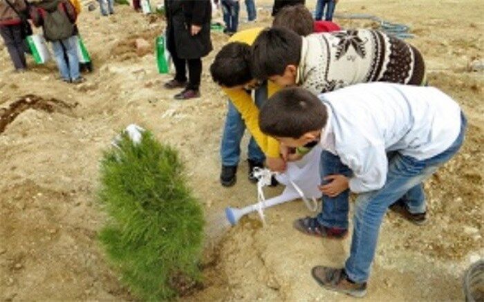 آغاز طرح ملی نهضت نهال کاری برای ایرانی سرسبز دربافق