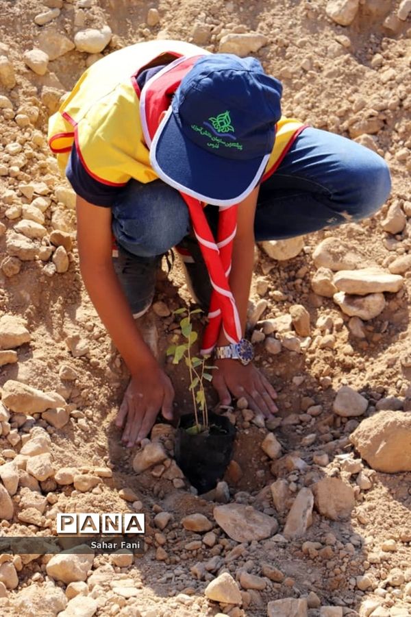 کاشت بیش از 4 هزار نهال توسط دانش‌آموزان گراش