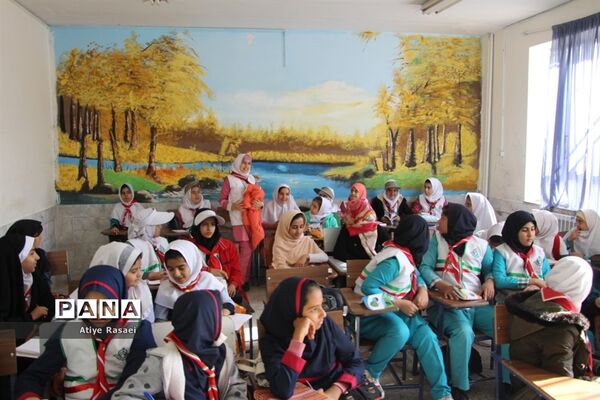 کارگاه های آموزشی یاورمربیان شهرستان بیرجند