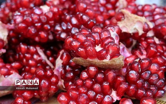 رشد ۱۵ درصدی برداشت انار در آرادان