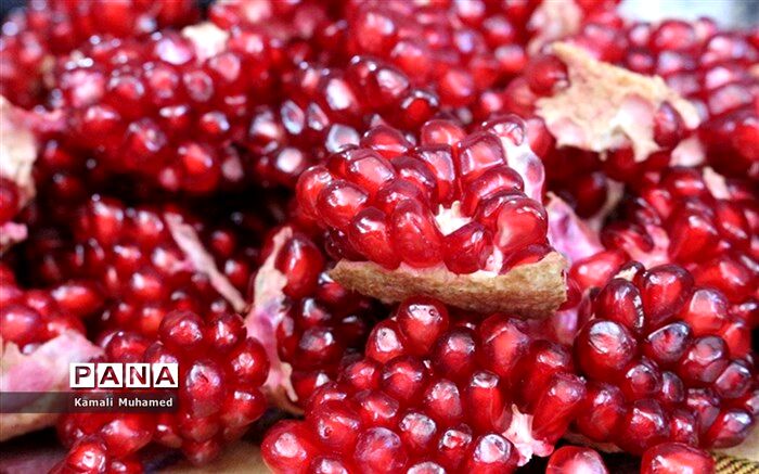 رشد ۱۵ درصدی برداشت انار در آرادان
